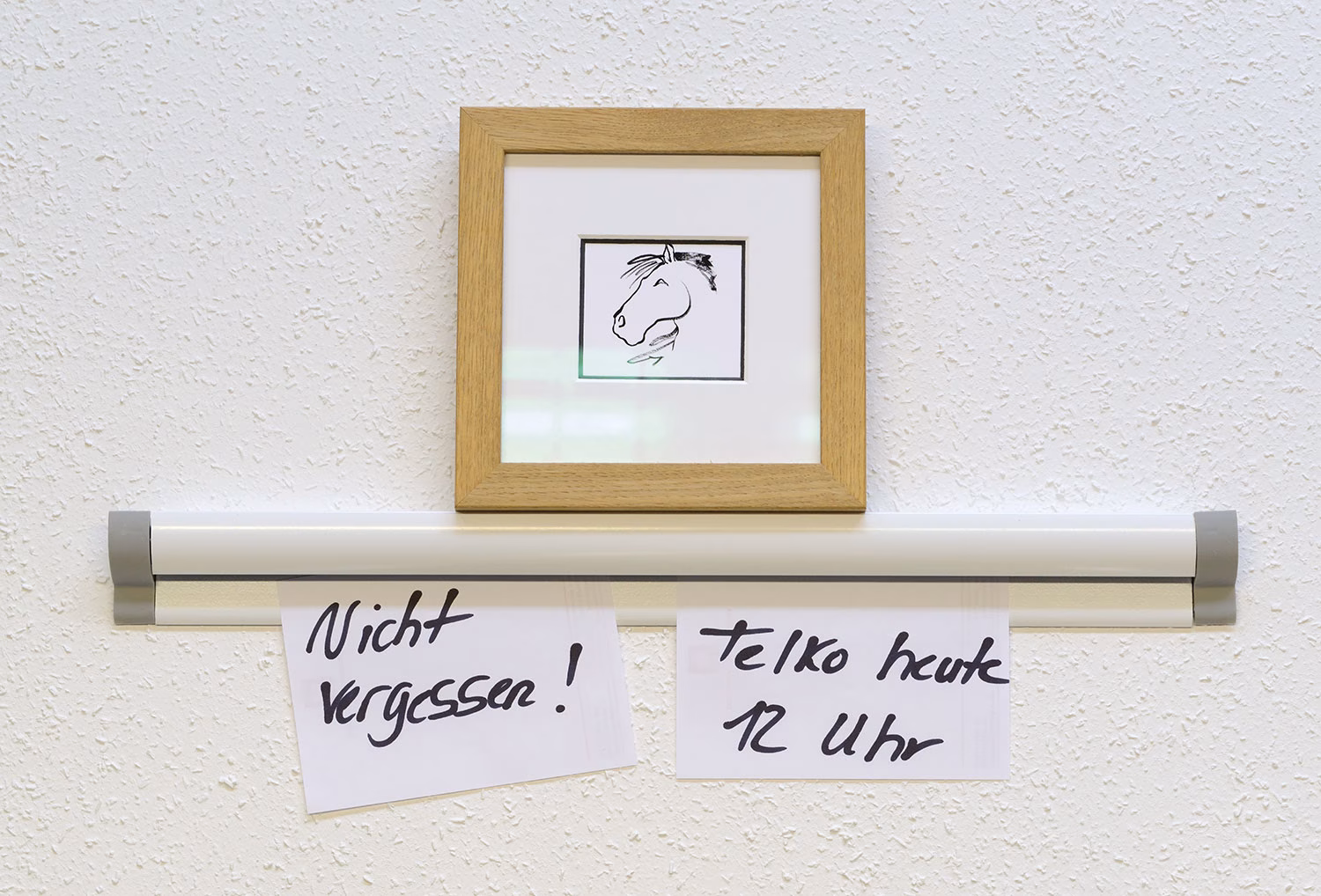 Kugel-Klemmschiene in weiß mit Bilderrahmen